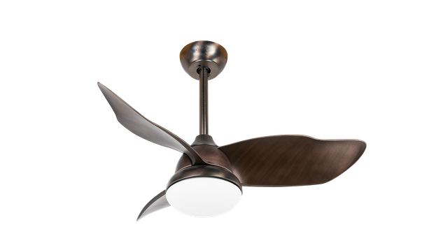 Maxslak ;bldc Decorative Ceiling Fan;brownness;diameter 36 Inch