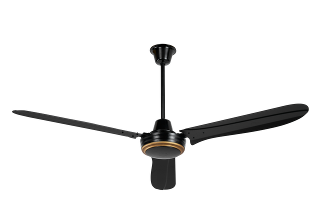 Maxslak ;bldc Industrial Ceiling Fan;black;diameter 60 Inch