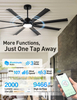 Luxe Flow 72inch DC ceiling fan in black/Nickel